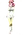 Aries PNG