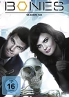Staffel 6