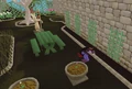 Garden of Tranquillity.png