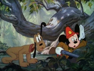 1939-the-pointer