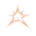 Salvage Spark
