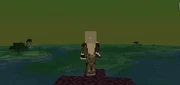 Elf ranger