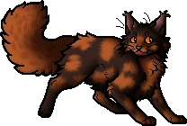 Redtail.apprentice.png