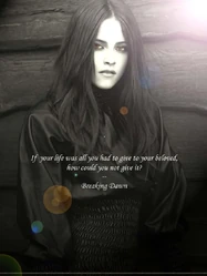 Belladawn
