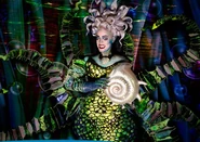 Ursula shell broadway