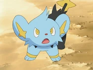Landis Shinx