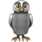 White Shoulder Owl