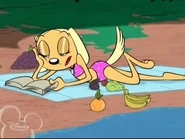 Brandy-brandy-and-mr-whiskers-7917030-320-240