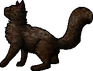 Timberfur.deputy