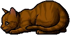 Brackenfur.kit