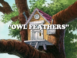 Owl Feathers