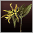 Ylang Ylang