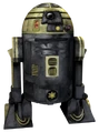 R3S6-SWE.png