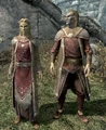 Altmer in Fine Raiment.png