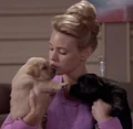Puppies, 2369.jpg