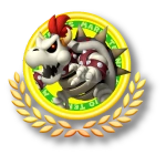 DryBowserMTO