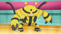 EP648 electivire de lectro