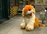 BarkleyInOut2