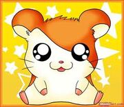 Someone 4
