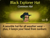 BlackExplorerF