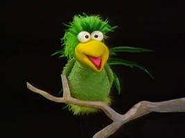 Forcryingoutloud Bird