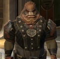 Skadge