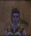 Luca Soren.png