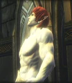 Mallion Anwon.png