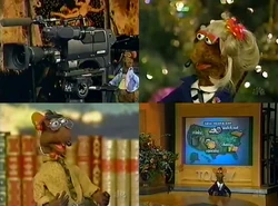 Rats today 1998