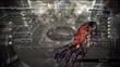 Paradox alpha