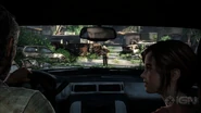 Tlouambush9