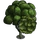 Cypress Sculpted Tree-icon