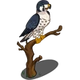 Peregrine Falcon-icon