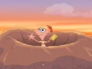 A sponge and a star fish - cropped.jpg