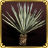 Sisal