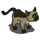 Brown Siamese