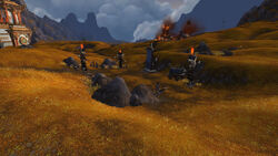 FireCampBataar