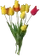 HO SecLPond Tulips-icon