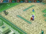 RW Dervish