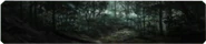 Ambush Background BO