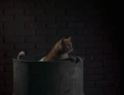 Rifftrax prisoner