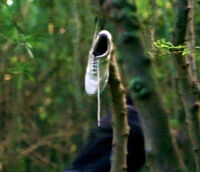 Lost - whiteshoe
