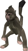 Monkey