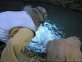 Keep moat.png