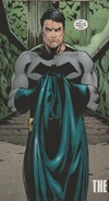Batman-The All-Over