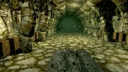 SkyrimTestingHall 1
