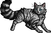 Feathertail.apprentice