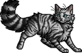 Feathertail.apprentice