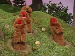 Gophers