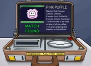 PinkFurensicAnalyzer